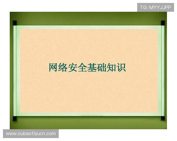 宝赢体育网页版登录流程详解让新手玩家快速掌握登录步骤安全无忧